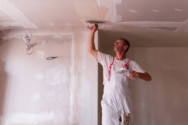 Best Drywall Sanding and Smoothing  in Richland, GA